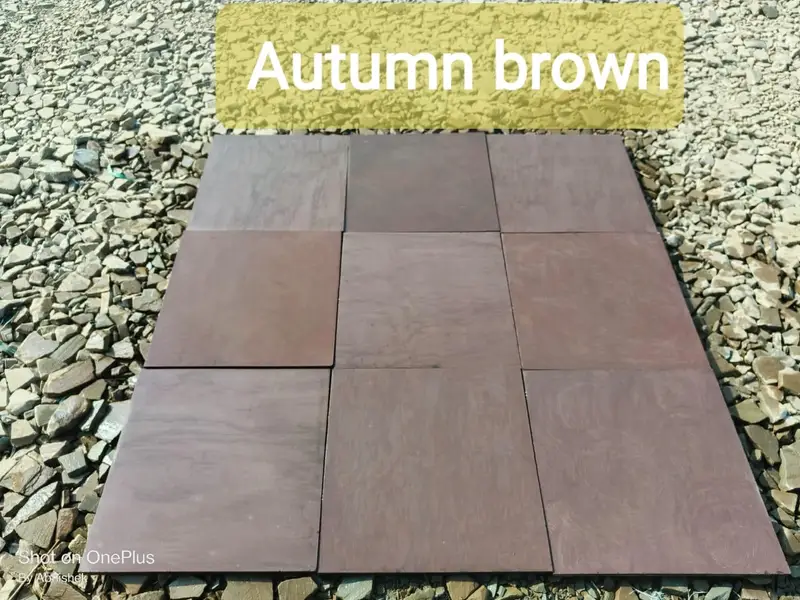 Example photograph of Autumn Brown
