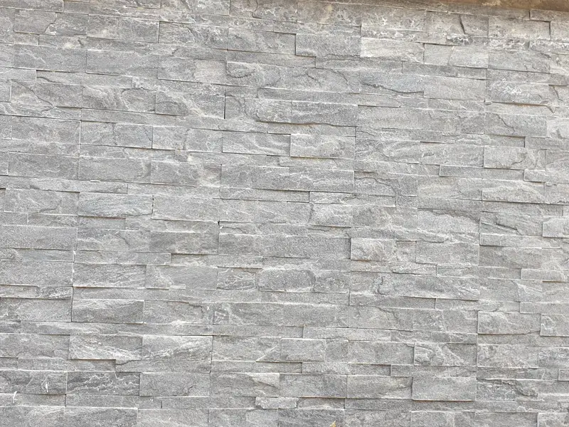 Example photograph of Silver Grey